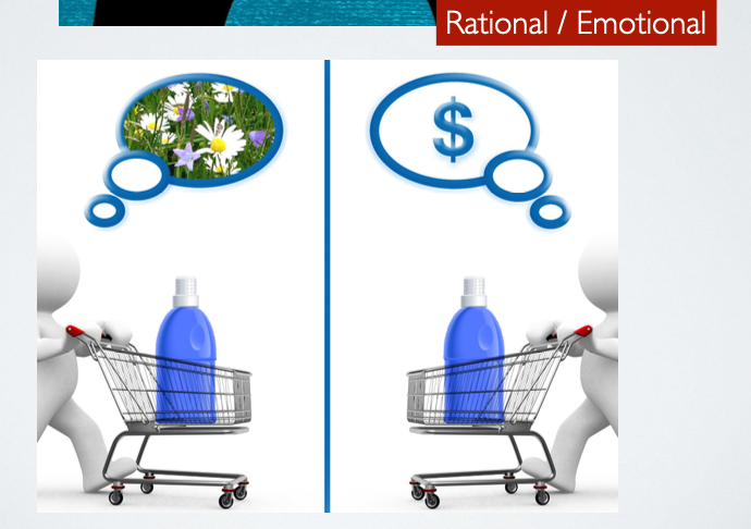 Motivation - Rational /Emotional